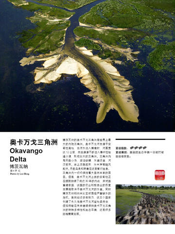 旅行者