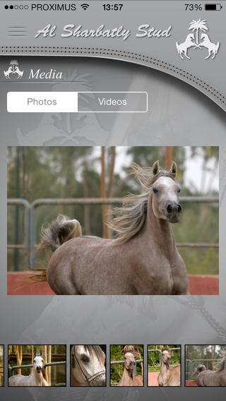 Al Sharbatlyͼ2