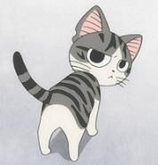 起司猫qq表情包eip格式起司
