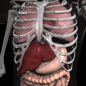 Organs