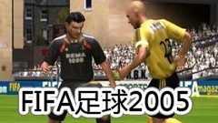 FIFA2005