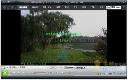 RealPlayer11ʲü