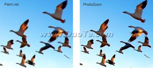 PhotoZoom