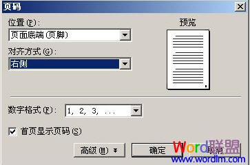 WPSҳ