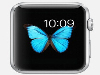 apple watchЩ apple watchܽ