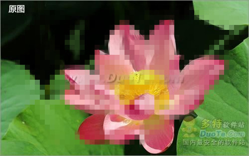 һͼƬֻһɫ