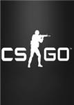csgoŽ̳̽ѧ