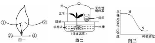 作业帮