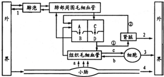 作业帮