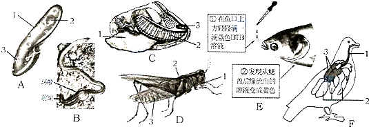 作业帮