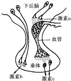 作业帮