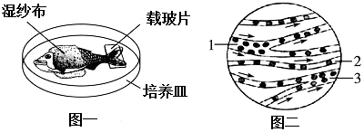 作业帮