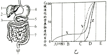 作业帮