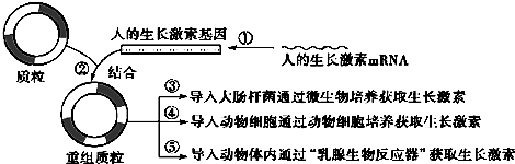 作业帮