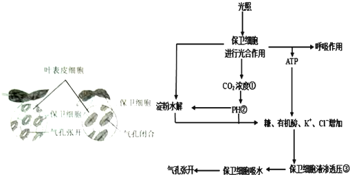 作业帮