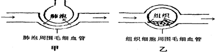 作业帮