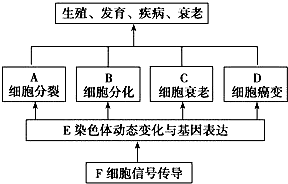 作业帮