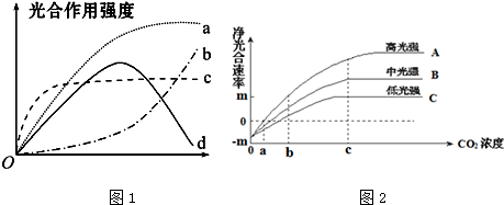 作业帮