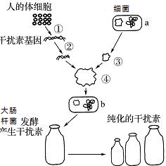 作业帮