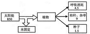 作业帮