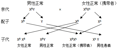 作业帮