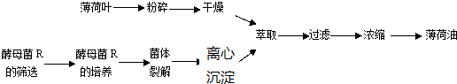 作业帮