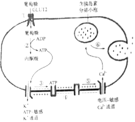 作业帮