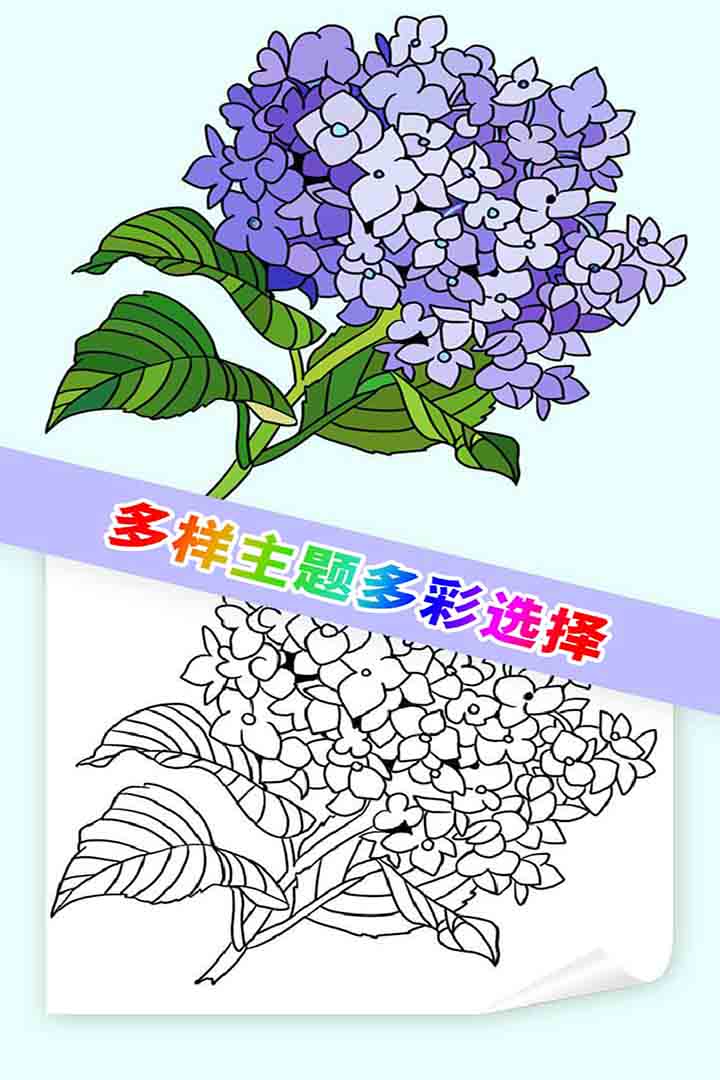 뾲ͼ0
