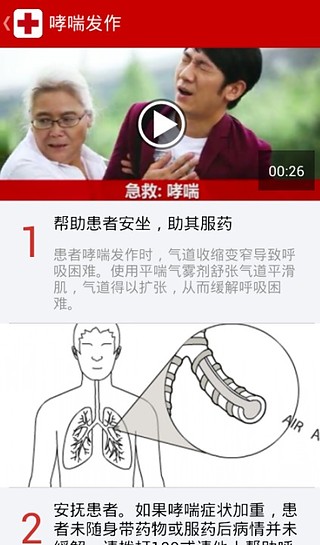 ͼ2