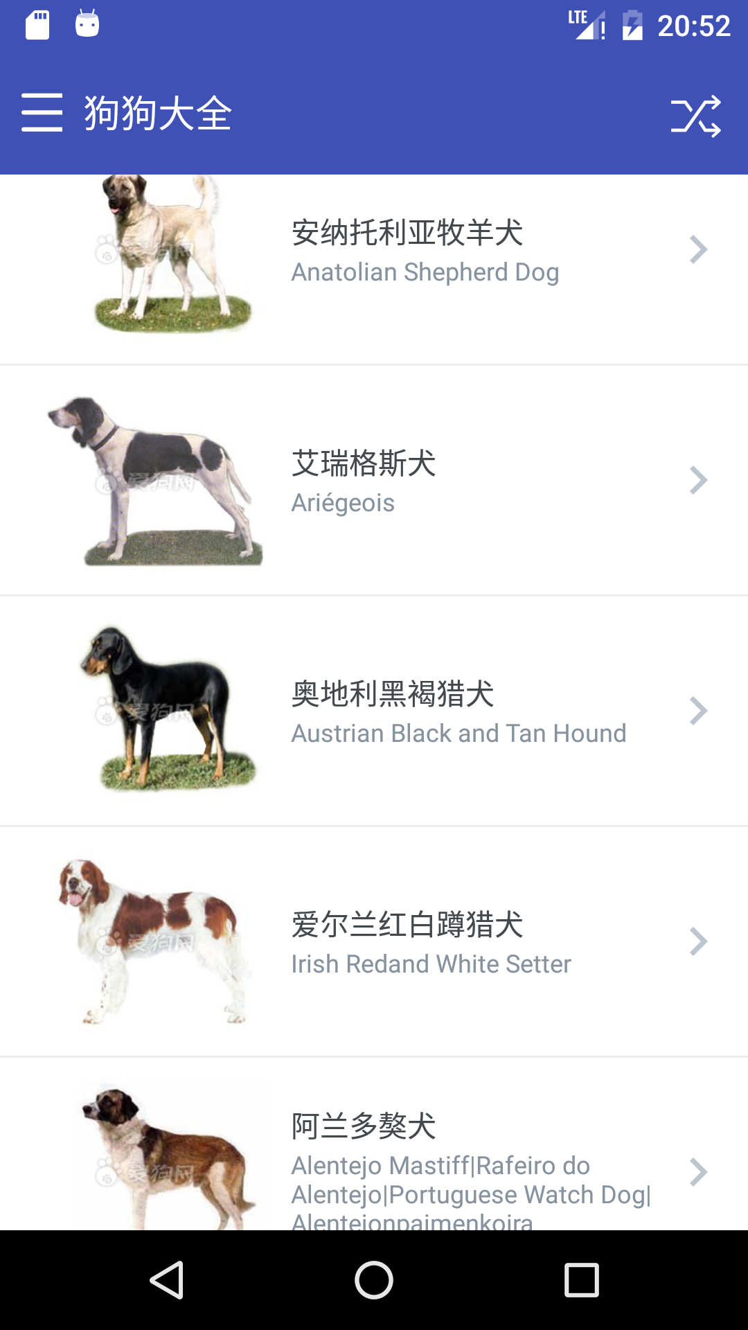 狗狗大全
