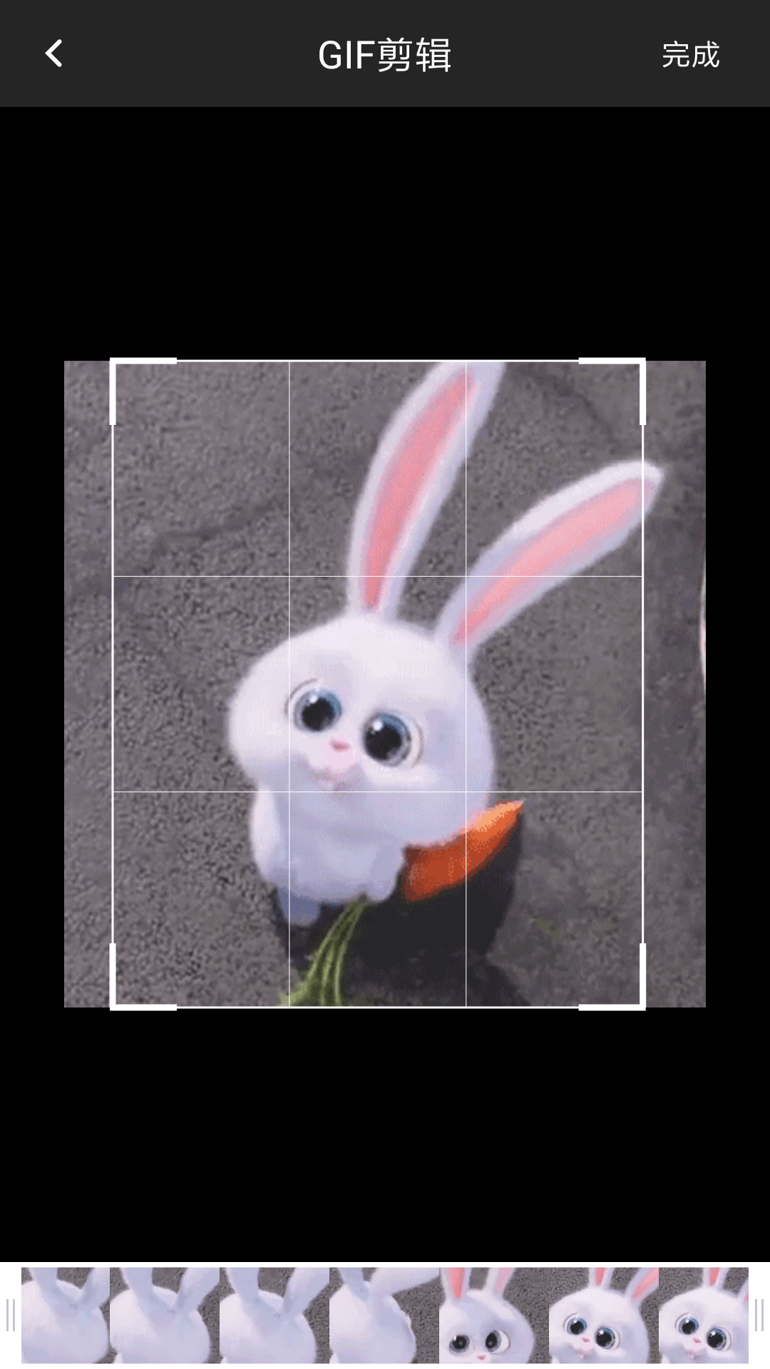 GIF