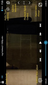 DicePlayer