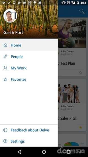 Office Delve