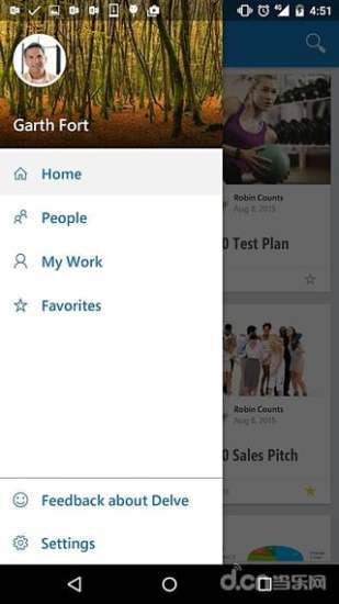 Office Delve
