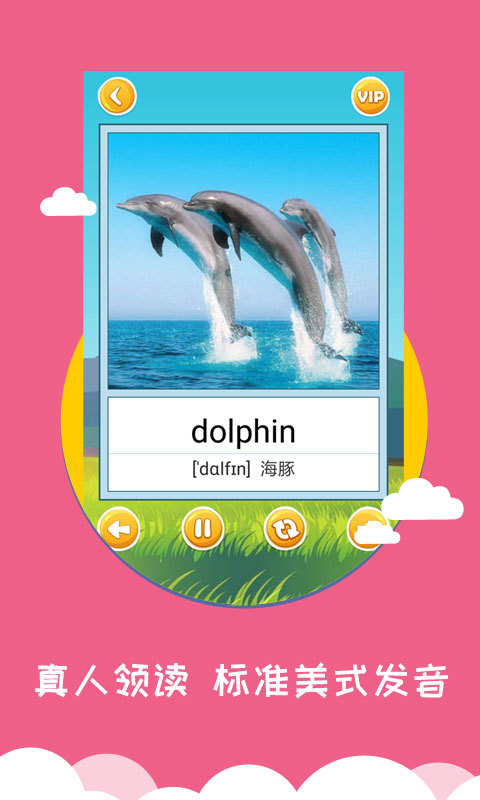 ѧӢ