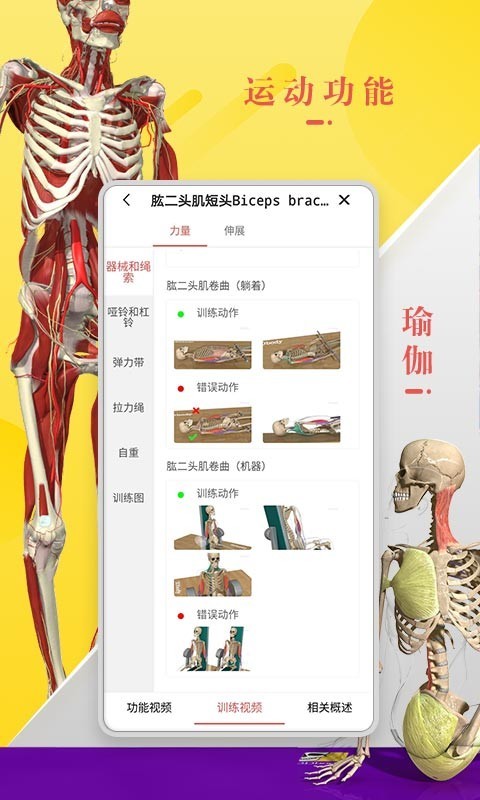 3Dbodyͼ0