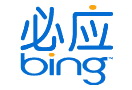 Bing主页可视化搜索相册上线