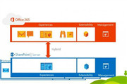 ΢office³ԱSharePoint Server 2016