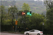 最短红绿灯只有3秒钟 新手司机彻底崩溃