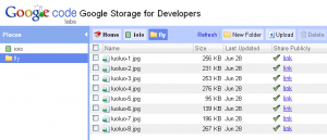 Google Storage for Developers