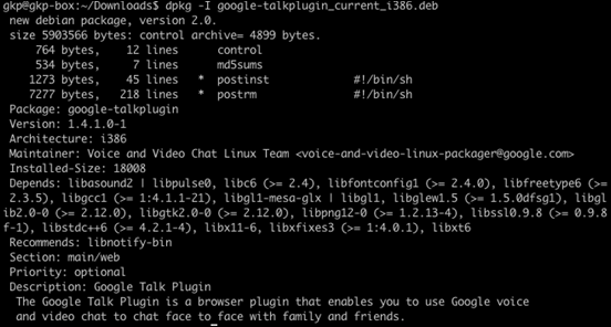 google_talk_video_plugin_linux