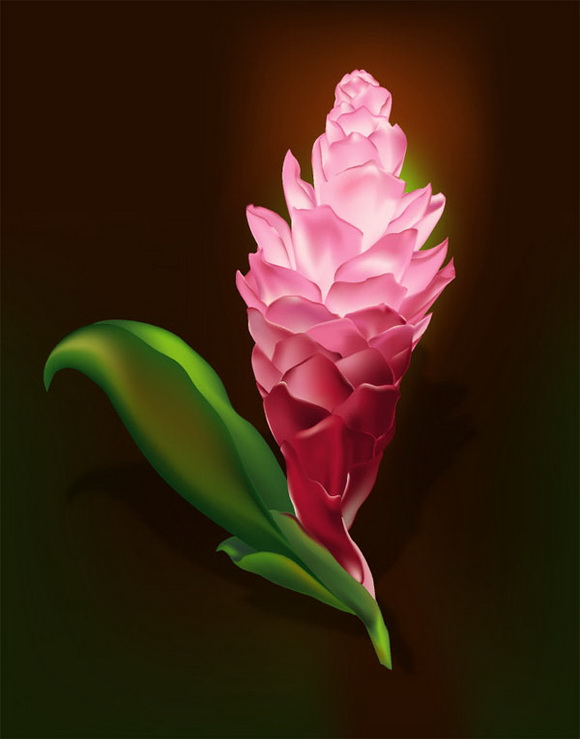 ʸľﻨݼ
