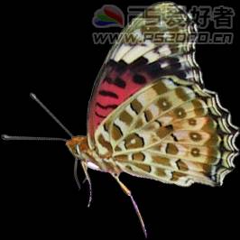 PhotoshopЧ̳֮ʯ