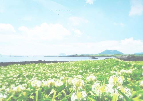 Painter涯Ƭ