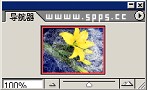 photoshop̳