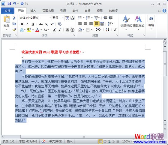 Word2010ô