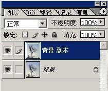 photoshopͼ̳-֦ͼ