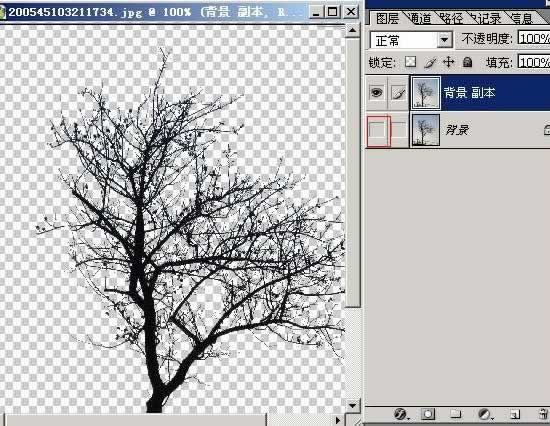 photoshopͼ̳-֦ͼ