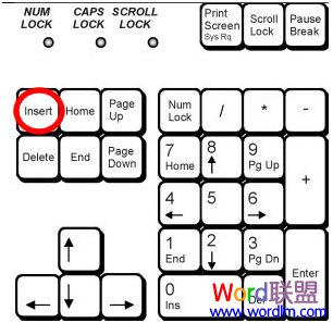 Wordָǽ