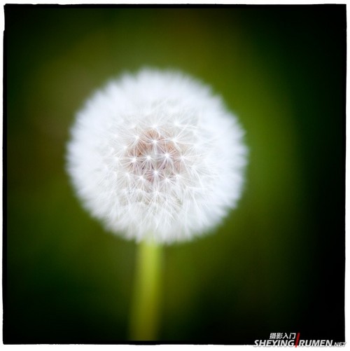 5个爱上方形画幅的理由
